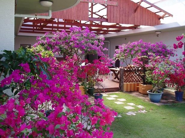 Patio House Reef Hotel ซามามิ ภายนอก รูปภาพ